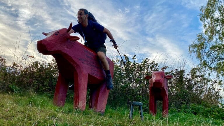DeWandelaar sitting on wooden cow of the Oberharzer Weidewirtschaft monument on the Harzer-Hexen-Stieg in the Harz