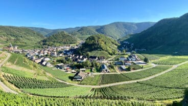 A view over vineyards to the Etzhardt hill and Mayschoß on the Rotweinwanderweg in the Ahr Valley