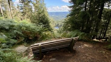 A view from the Schurmseeblick to the Schurmsee lake on the Seensteig in the Black Forest