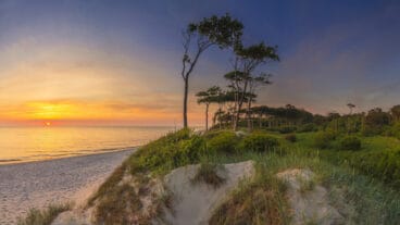 A beach and forest with a sunset over the Baltic Sea near Fischland-Daß-Zingst