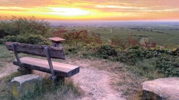 A view of a sunrise over the Rhine valley from the Pfälzer Weinsteig with a trail and bench in the foreground