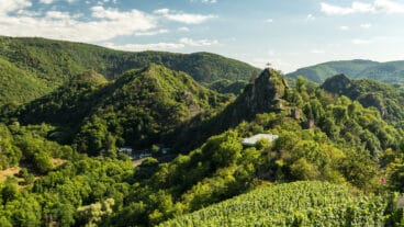 A view of Burg Are in the Ahr Valley with vineyards in the foreground