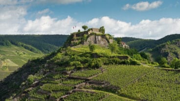 Vineyards surrounding the ruins of the Saffenburg castle near Mayschoß