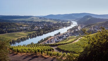 A panoramic view of Lieser an der Mosel in the Mosel valley with vineyards in the foreground and hills in the distance
